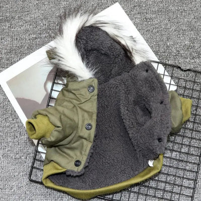 manteau chien intérieur peluche vert