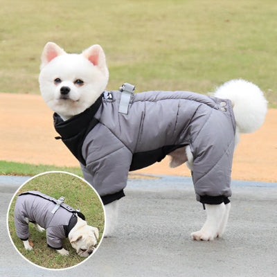 manteau chien gris Shiba Inu BullDog 