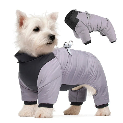 manteau chien gris-noir Westie 