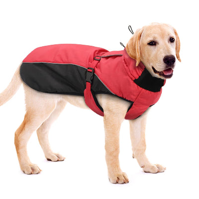 manteau chien rouge noir Labrador 