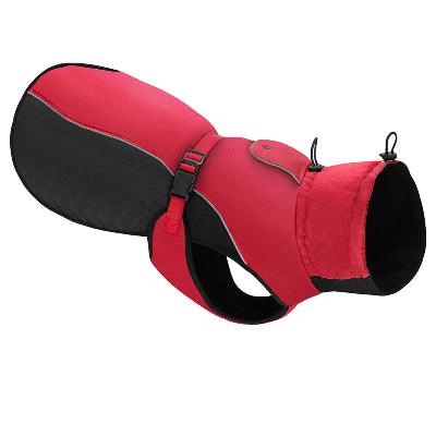 manteau chien rouge noir