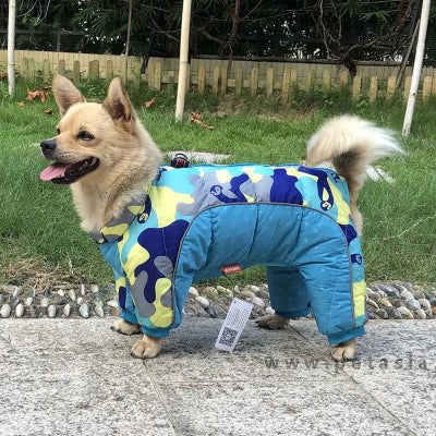 manteau pour chien bleu camouflage Buhund norvégien 