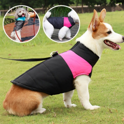 manteau pour chien Welsh Corgi Cardigan