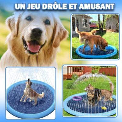 piscine-pour-chien-canisplash-drole