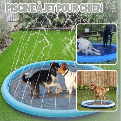 piscine-pour-chien-canisplash-piscine