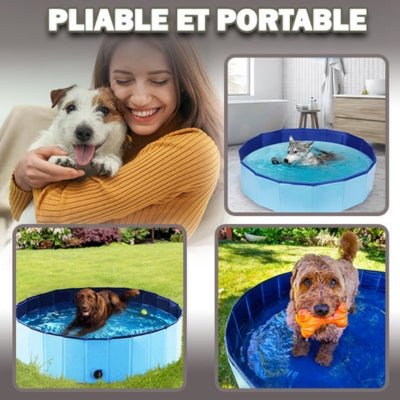 piscine-pour-chien-plipool-bleu