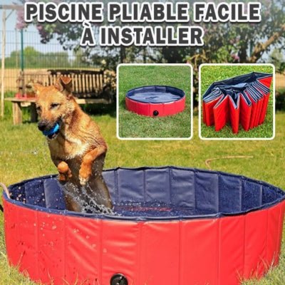 piscine-pour-chien-plipool-pliable