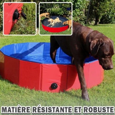 piscine-pour-chien-plipool-resistante