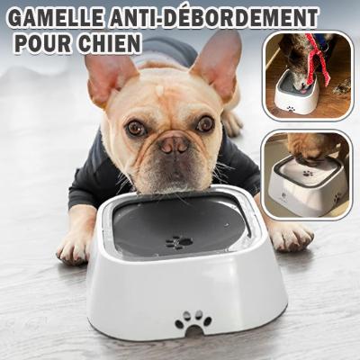 CleanBowl™ | GAMELLE ANTI-DÉBORDEMENT